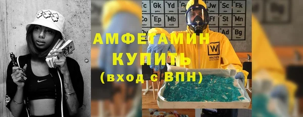 индика Вяземский