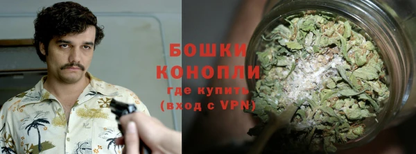 индика Вяземский