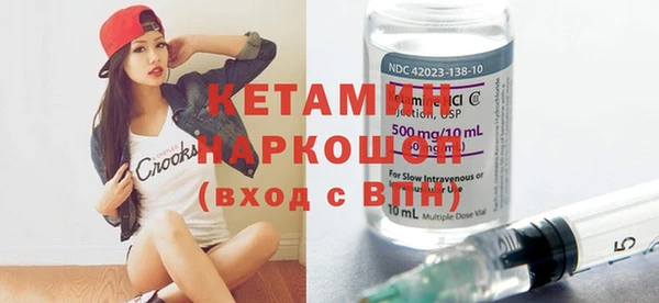 индика Вяземский