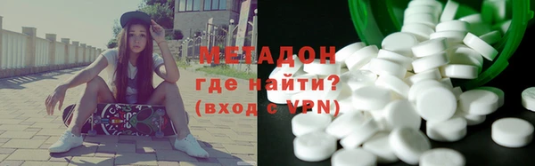 индика Вяземский
