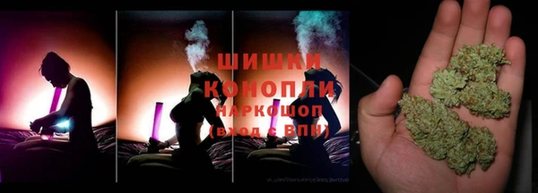индика Вяземский