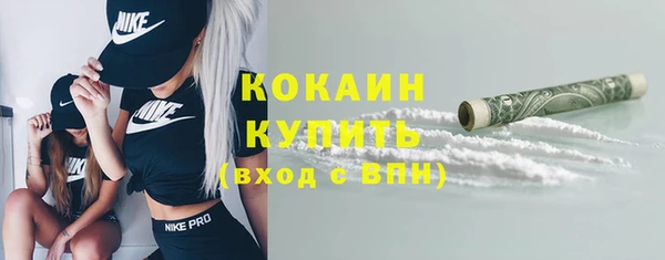 индика Вяземский