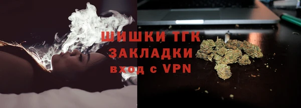 индика Вяземский
