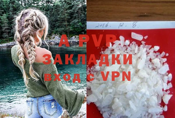индика Вяземский
