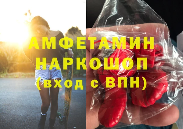 индика Вяземский