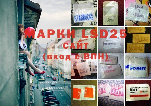 индика Вяземский