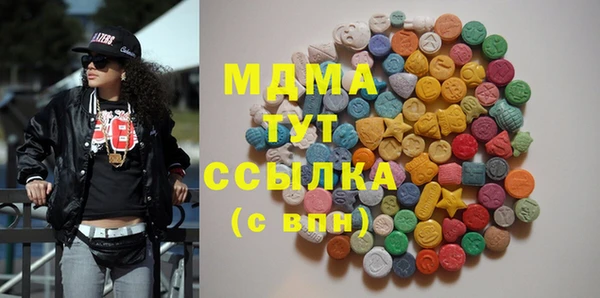 индика Вяземский