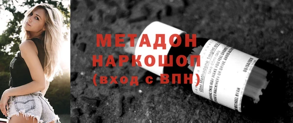 индика Вяземский
