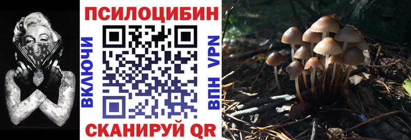 Псилоцибиновые грибы Psilocybe  Купить  Кропоткин 