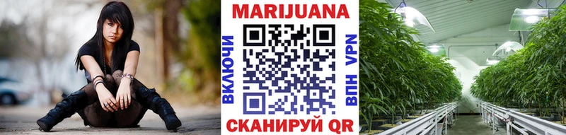 Каннабис план  Купить где  Кропоткин 